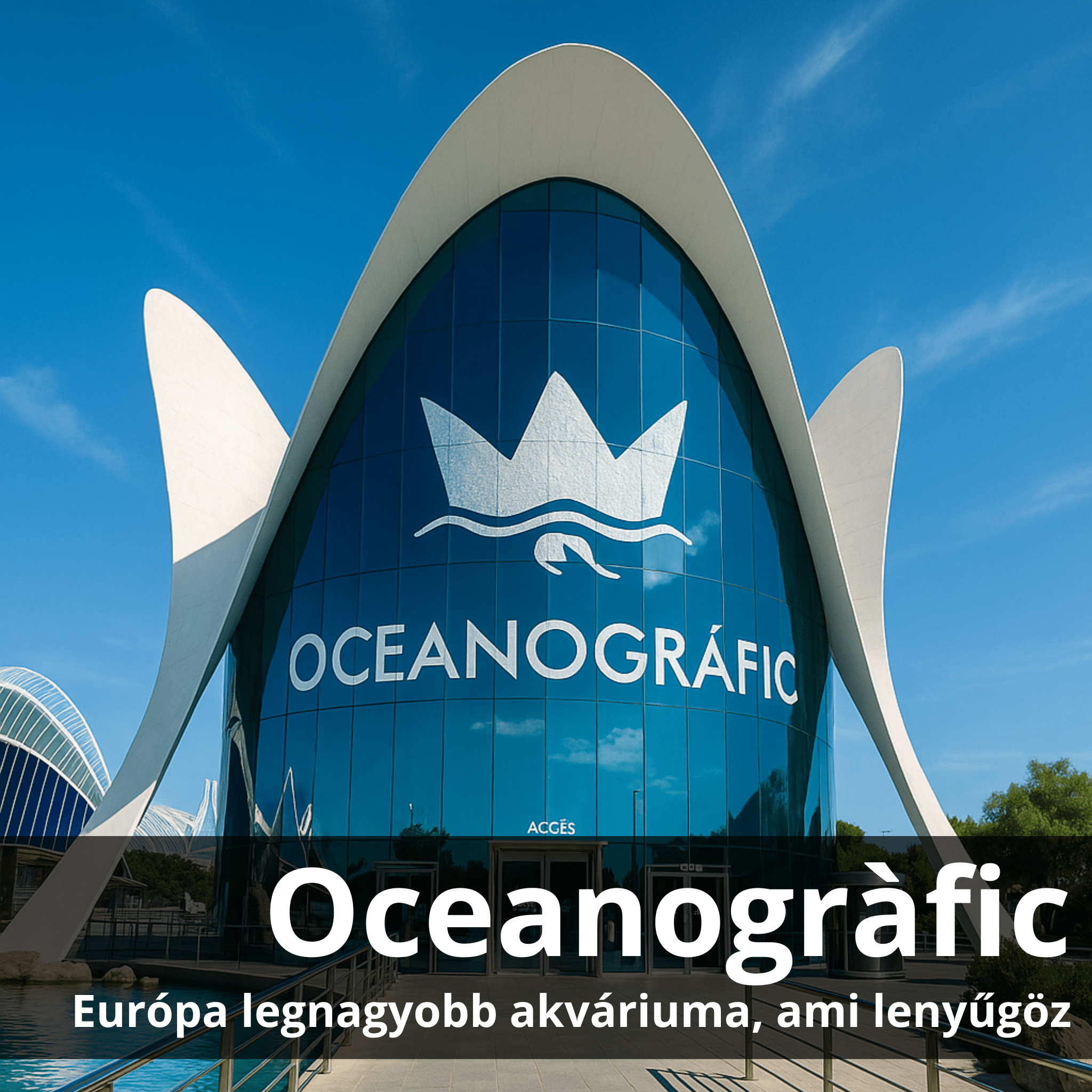 Oceanogràfic – egy nap a világ óceánjai között, Valenciában